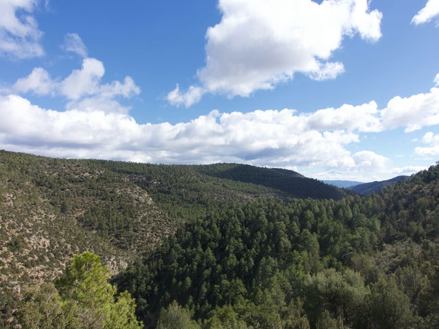 Vistas desde el Mirador