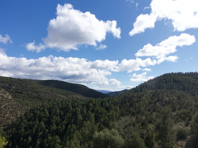Vistas desde el Mirador