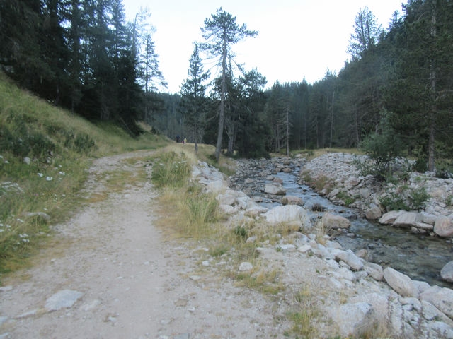 Camino