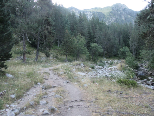 Camino