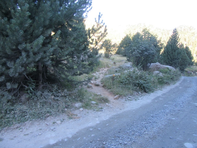 Cruzamos la carretera