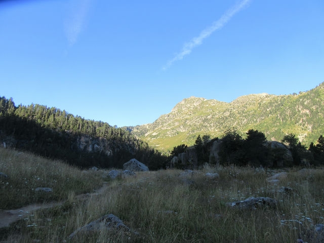 Vistas