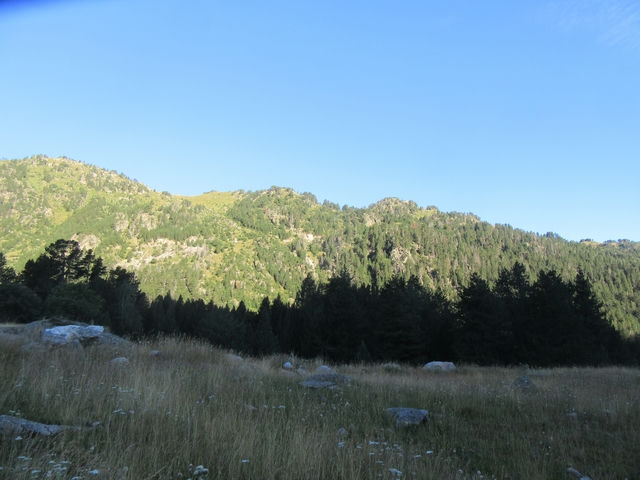 Vistas