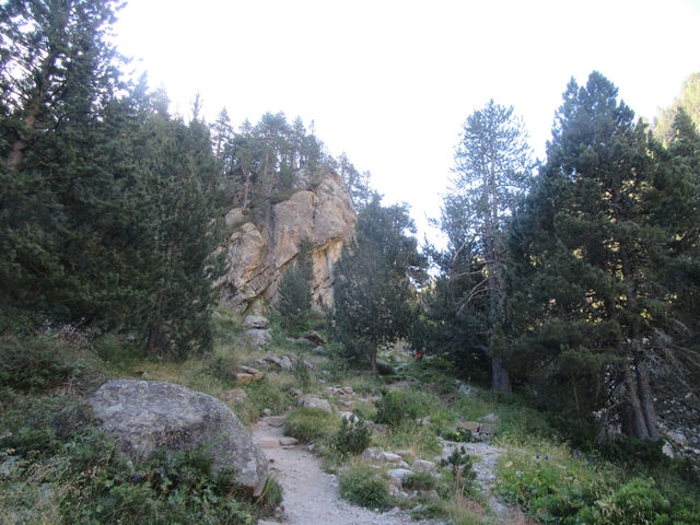 Senda