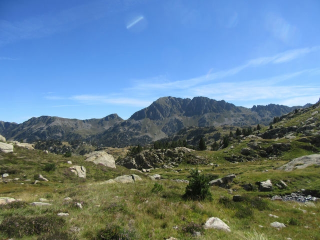 Vistas