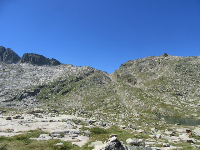 Vistas
