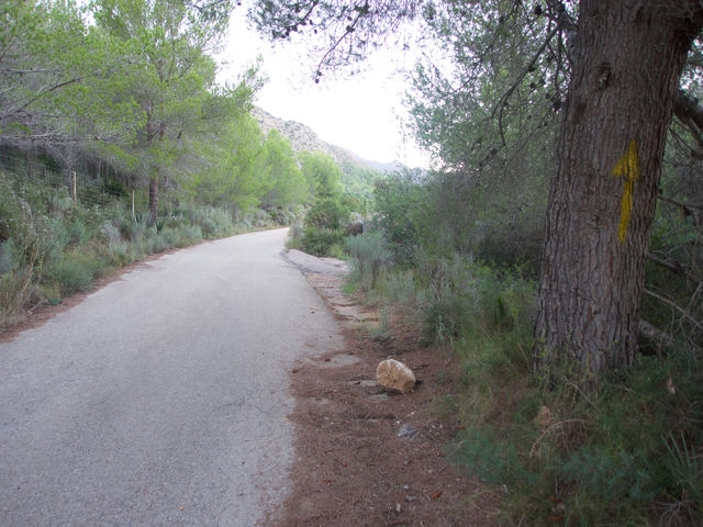 Camino