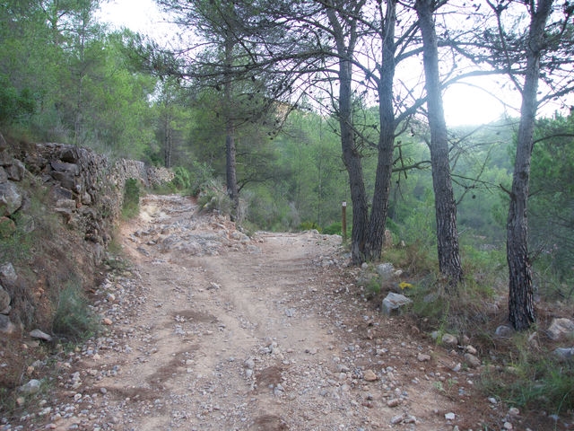 Cruce