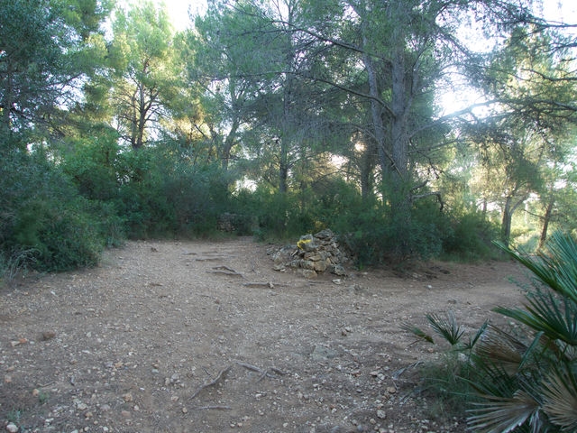 Cruce