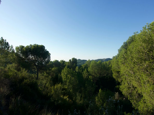 Vistas
