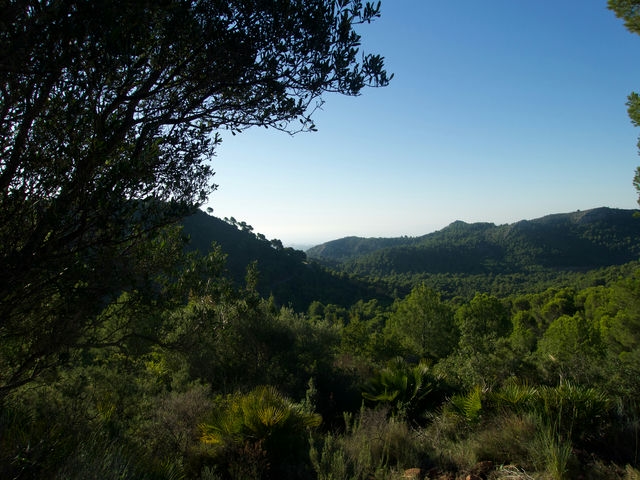 Vistas