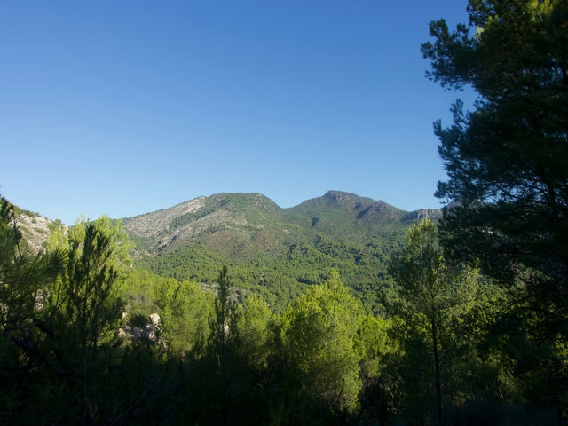 Vistas