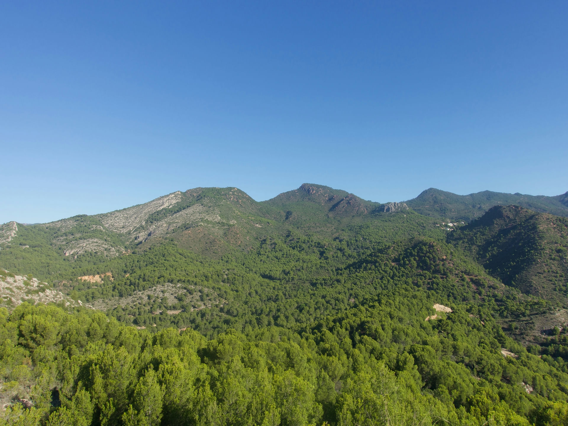 Vistas