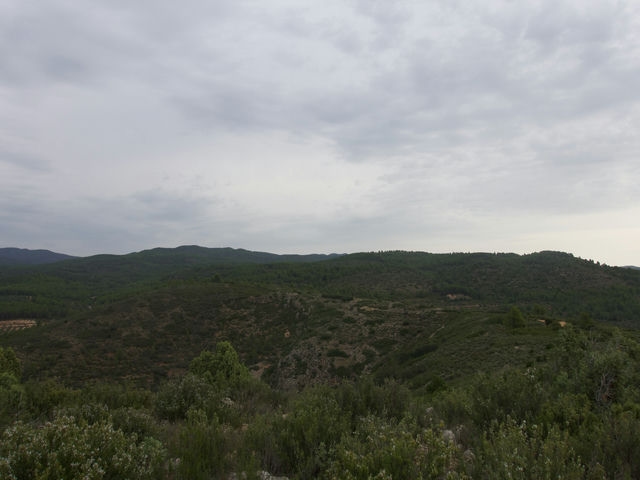 Vistas