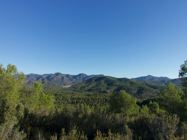 Vistas
