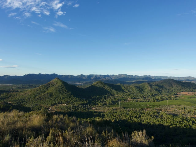 Vistas