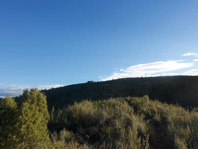 Vistas