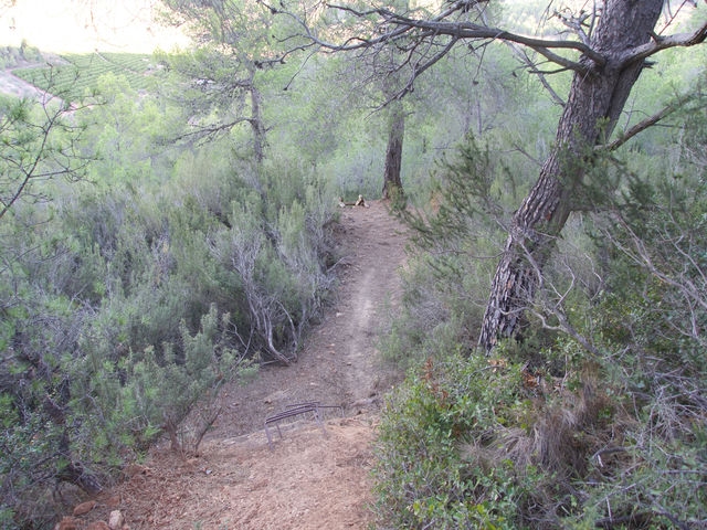 Primeros Escalones