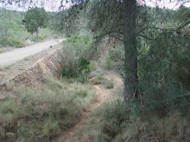 Bajamos para Cruzar