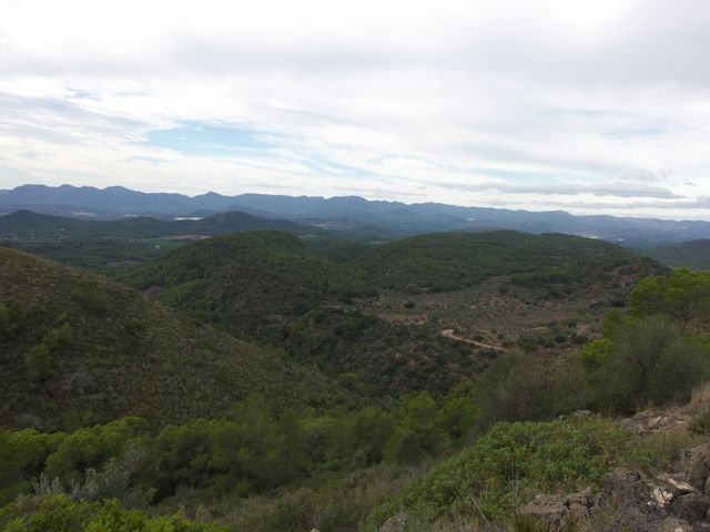 Vistas