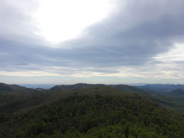 Vistas