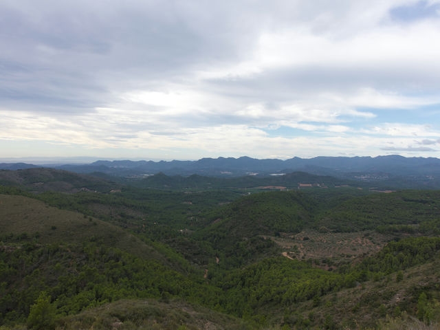 Vistas