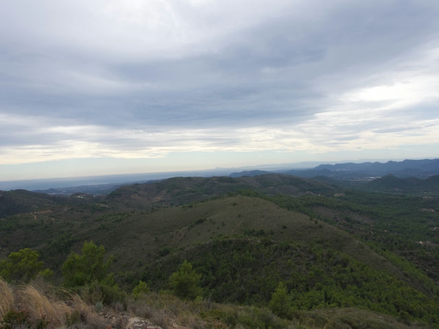 Vistas