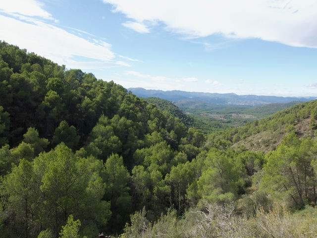 Vistas