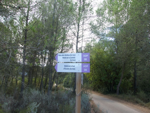 Postes Indicadores