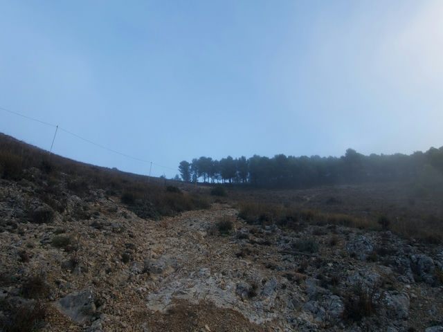 Camino