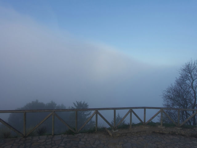 Vistas