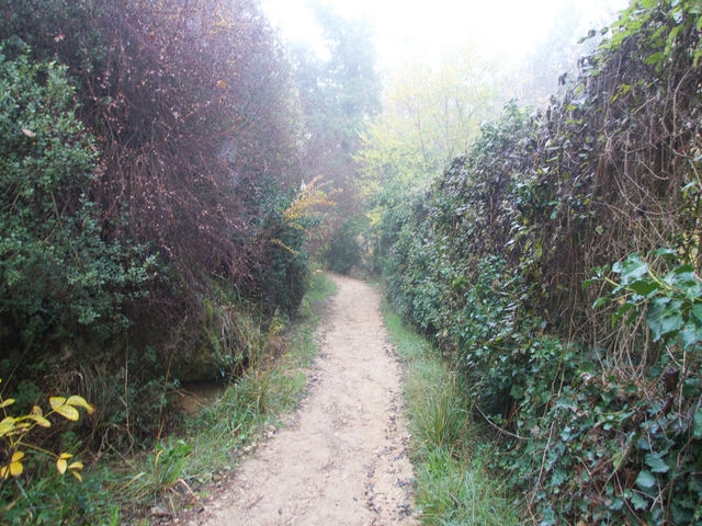 Camino