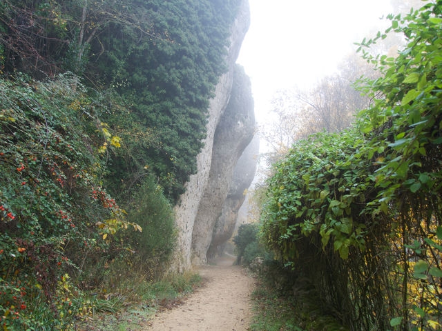Camino