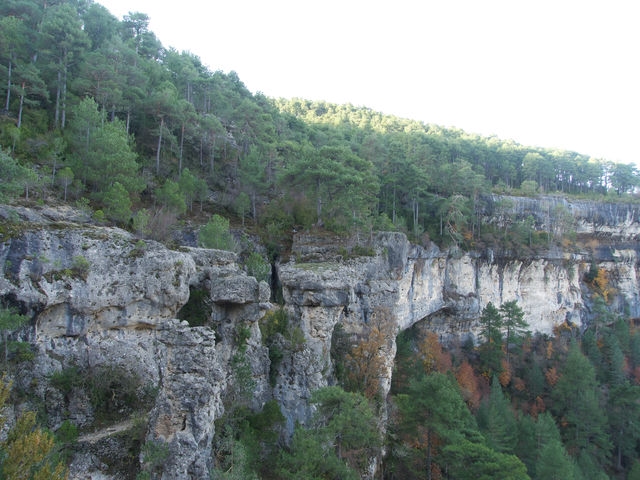 Vistas
