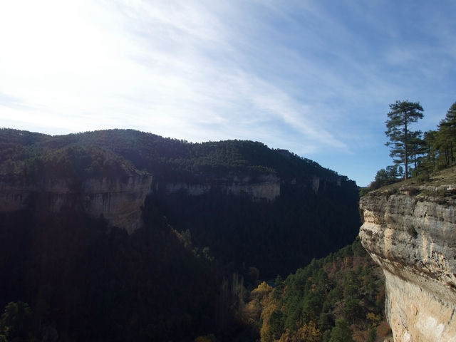Vistas