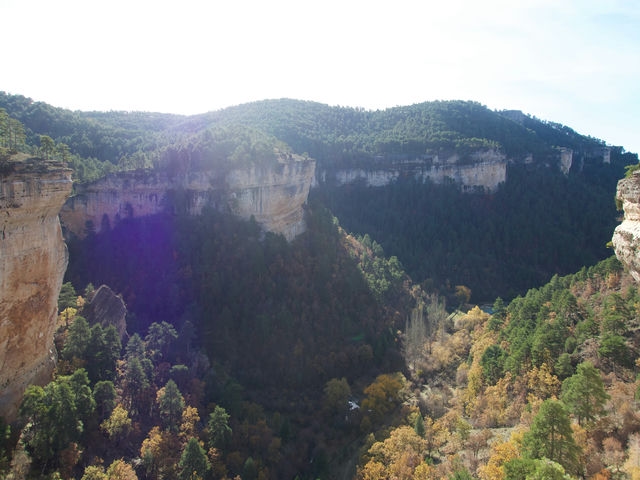 Vistas