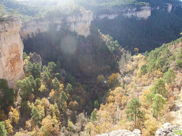Vistas