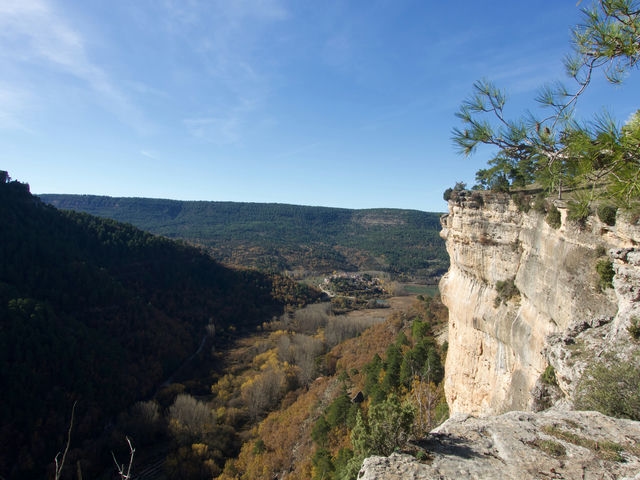 Vistas