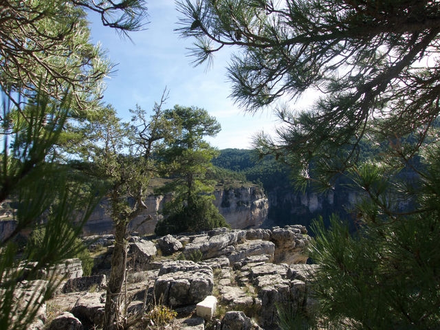 Mirador