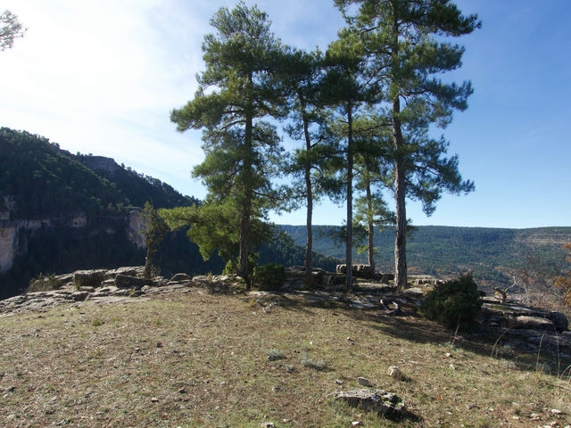 Mirador
