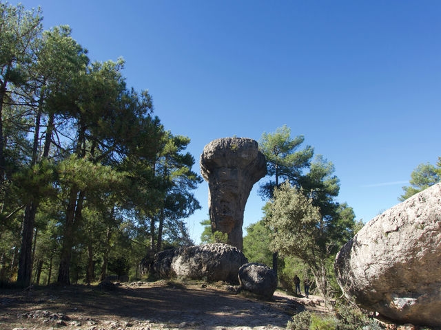 Tormo Alto