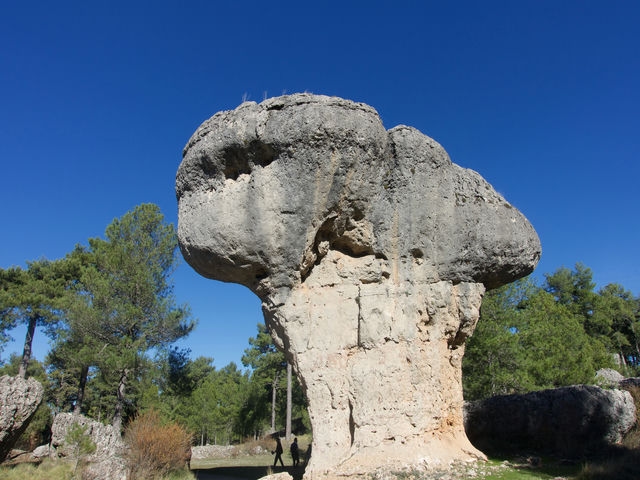 La seta