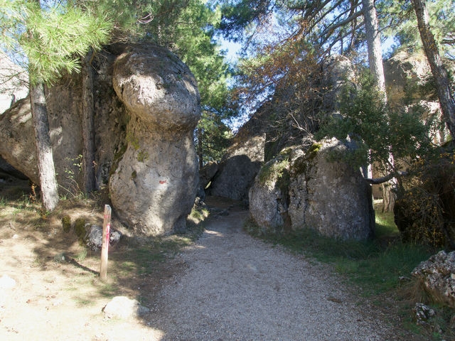 Senda