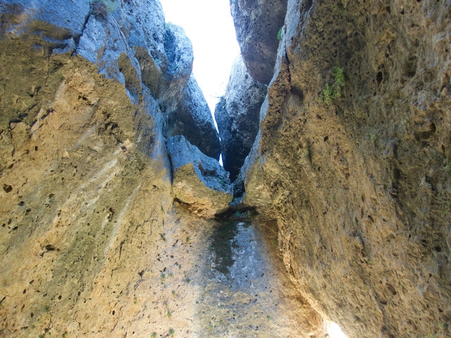 Callejón