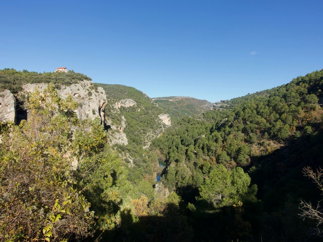 Vistas