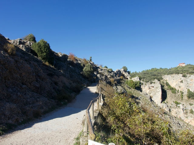 Camino de Acceso