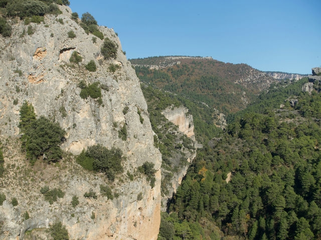 Vistas
