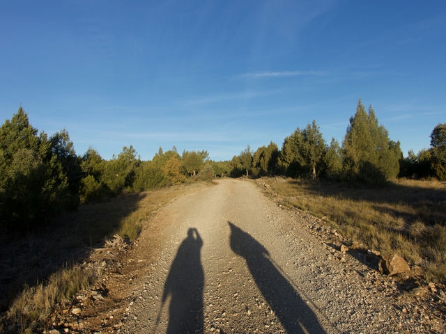 Pista