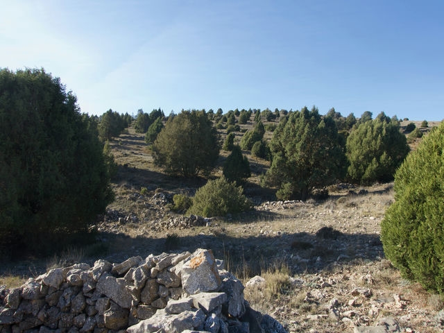 Campamento