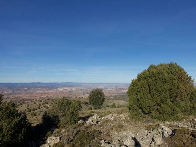 Vistas